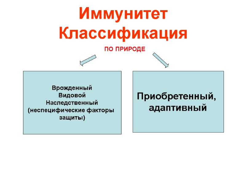 Иммунитет Классификация Врожденный Видовой Наследственный (неспецифические факторы  защиты) Приобретенный,  адаптивный ПО ПРИРОДЕ